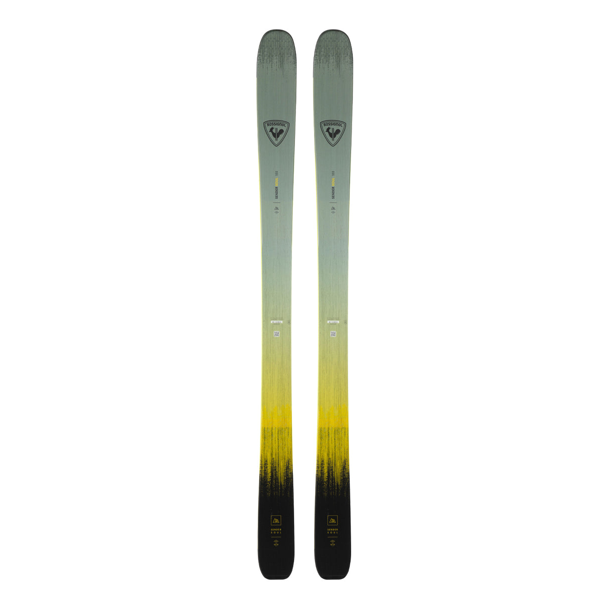 Rossignol Sender Soul 102 Skis | 2026