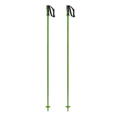 Salomon Arctic Poles | 2024