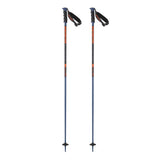 Salomon Arctic S3 Poles | 2024