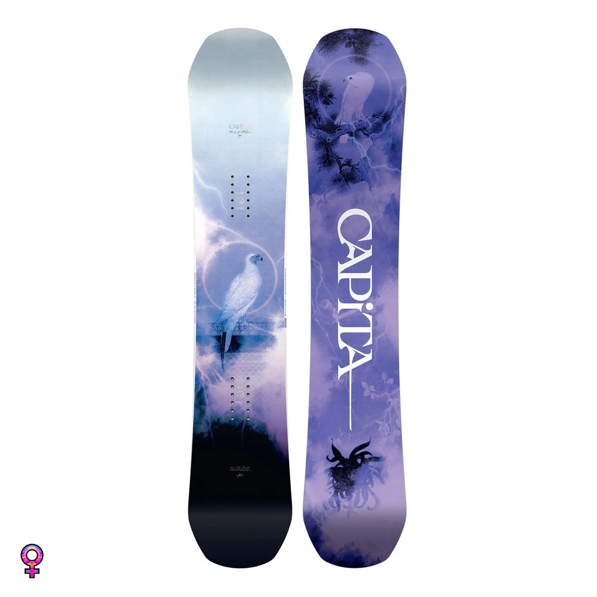 CAPiTA Birds Of A Feather Snowboard 2024 Baker Street Snow