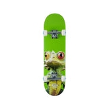 Push Lizard Guy 7.5 Complete Skateboard