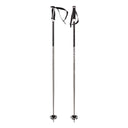Volkl Phantastick 18mm Poles | 2026