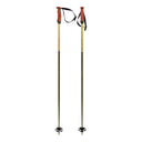Volkl Phantastick 18mm Poles | 2026