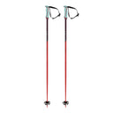 Volkl Phantastick 18mm Poles | 2026