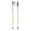 Volkl Phantastick 18mm Poles | 2026