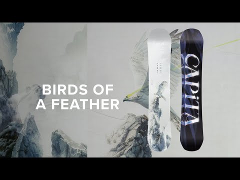 CAPiTA Birds Of A Feather Snowboard | 2026