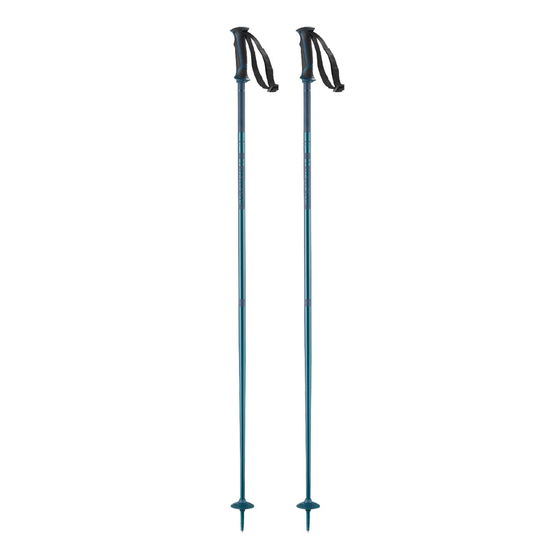 Salomon Arctic Poles | 2023